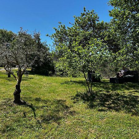 Les Demeures Du Clos Niozelles Εξωτερικό φωτογραφία